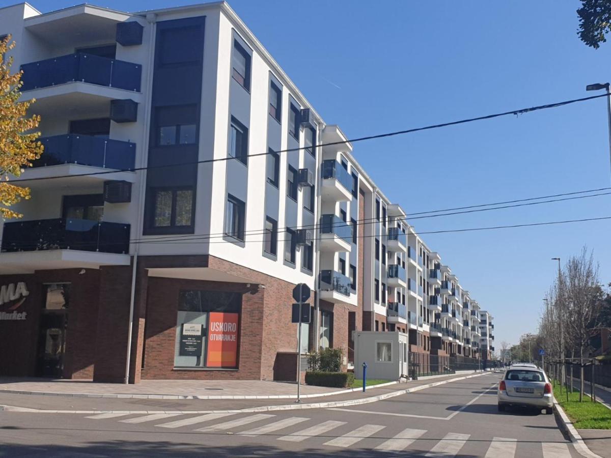בלגרד Apartment Mona מראה חיצוני תמונה